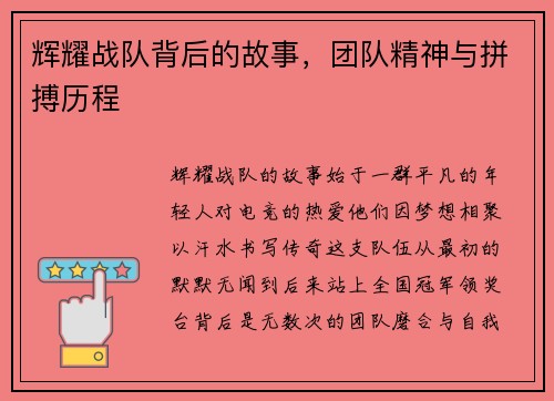 辉耀战队背后的故事，团队精神与拼搏历程